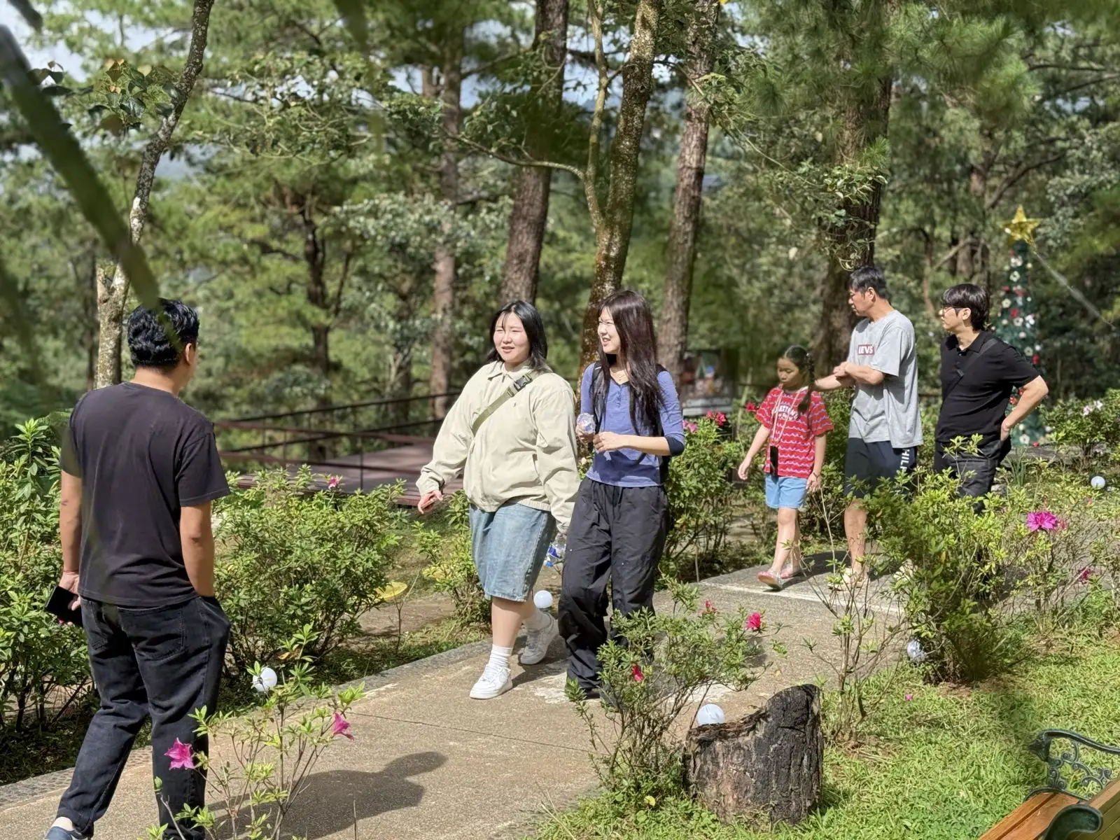 Students walking through pine trees on the A&J e-Edu Academy campus in Baguio, wearing jackets in the cool mountain air